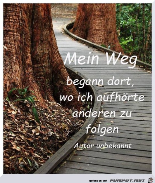 mein Weg