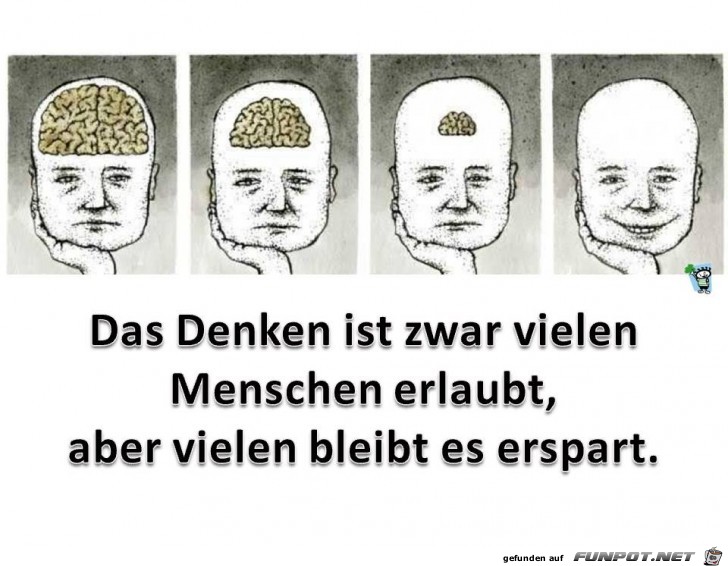 Denken erlaubt