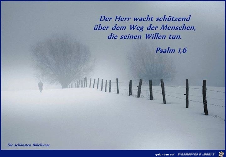 Psalm 1 6 Psalm 1 6
