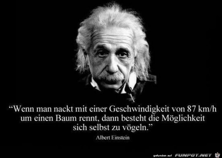 Einstein Einstein