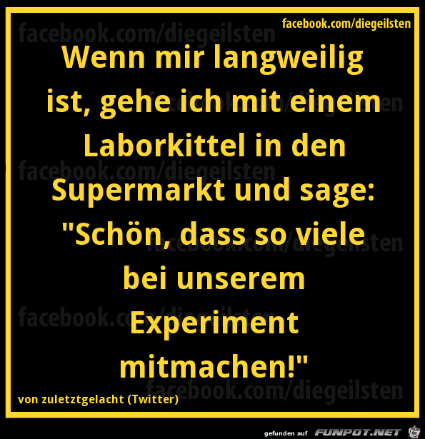 diegeilsten Experiment