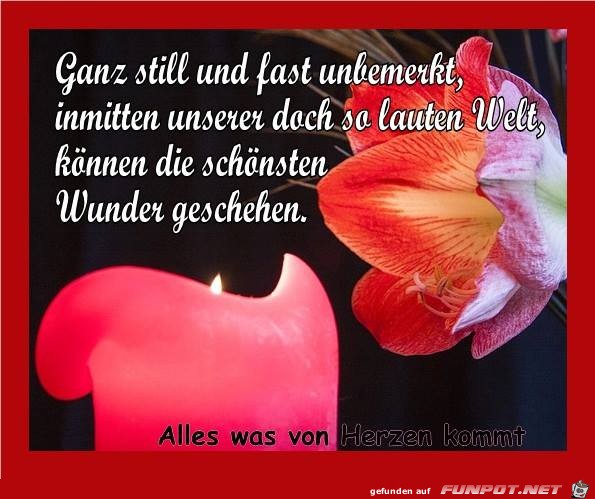 Ganz still Ganz still