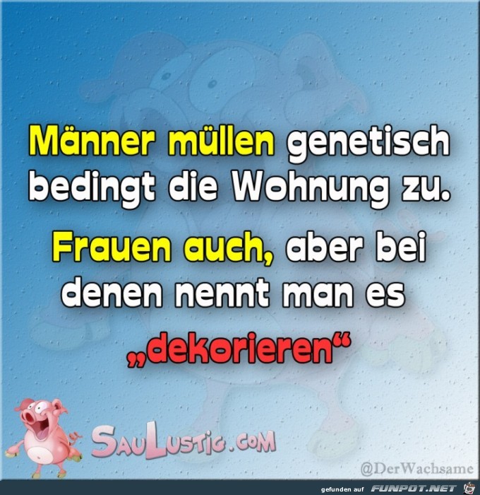 Maenner-muellen-die-Wohnung-zu Maenner-muellen-die-Wohnung-zu