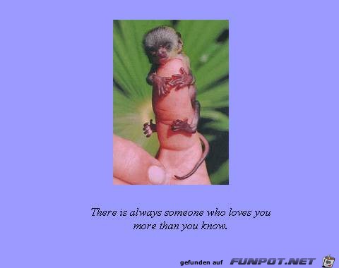 Someone Loves You Someone Loves You