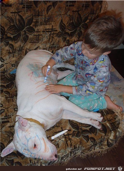 image017 image017