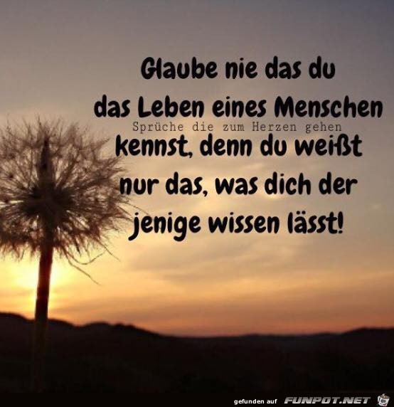 Glaube nie 