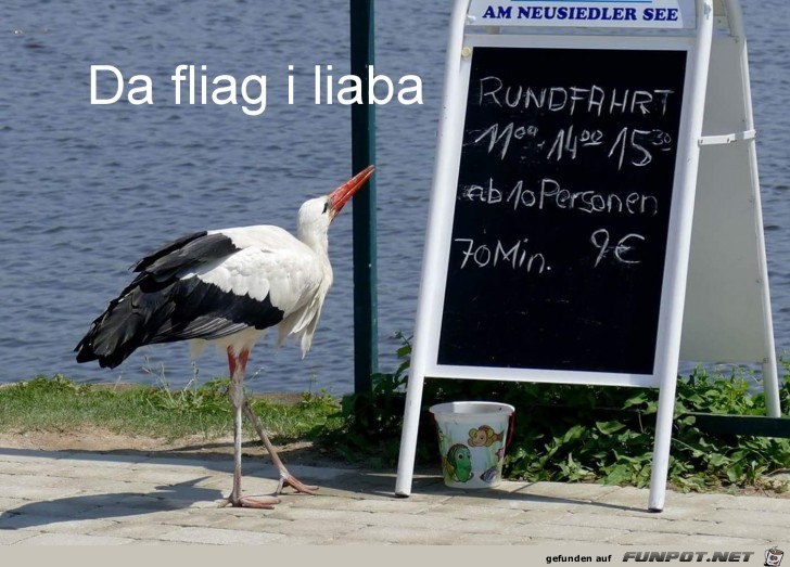 da fliag i liaba da fliag i liaba