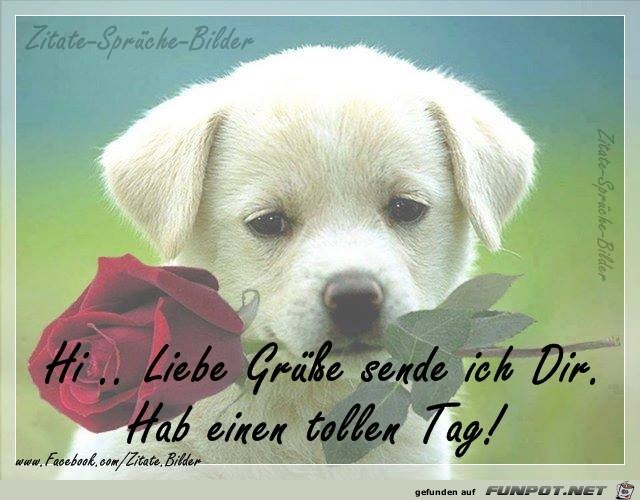 Hi Liebe Gruesse