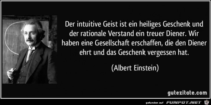 der intuitive geist