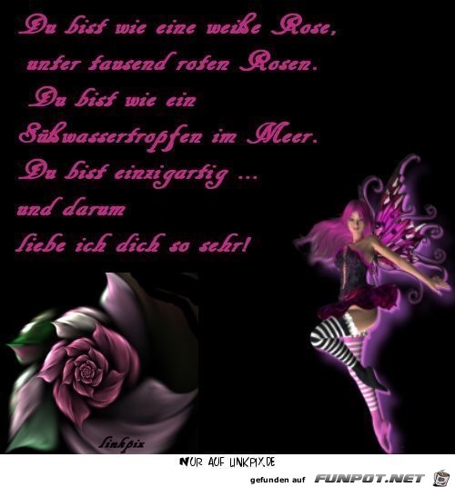 du bist wie eine weisse Rose