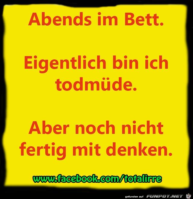 Abends im Bett