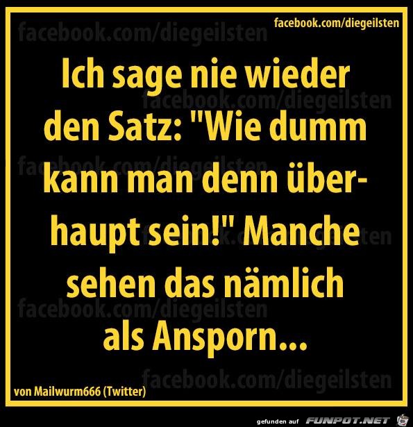 diegeilsten wie dumm diegeilsten wie dumm