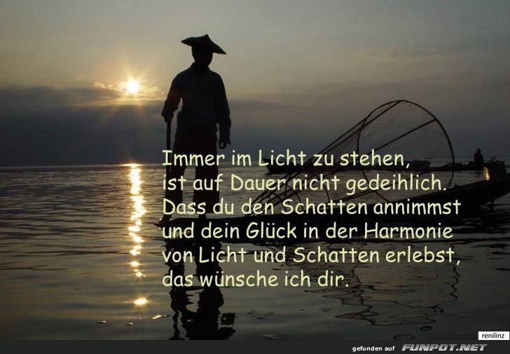 immer im licht zu stehen