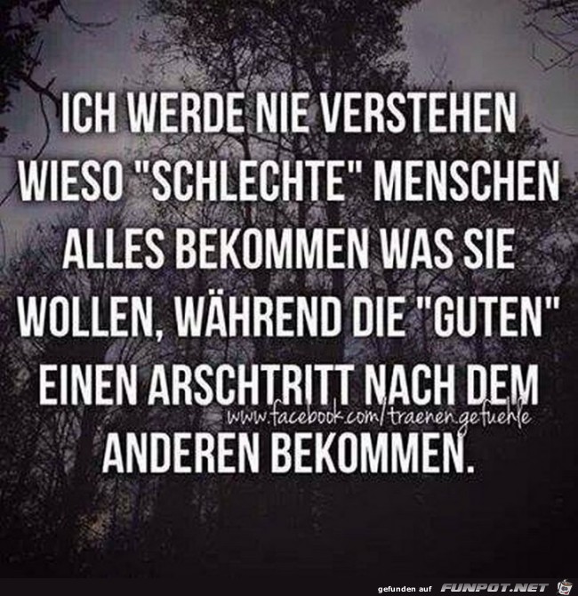 Nie verstehen Nie verstehen