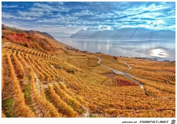 Die schoensten Wein-Gegenden der Welt 13 Die schoensten Wein-Gegenden der Welt 13