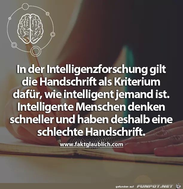 in der inteligenzforschung