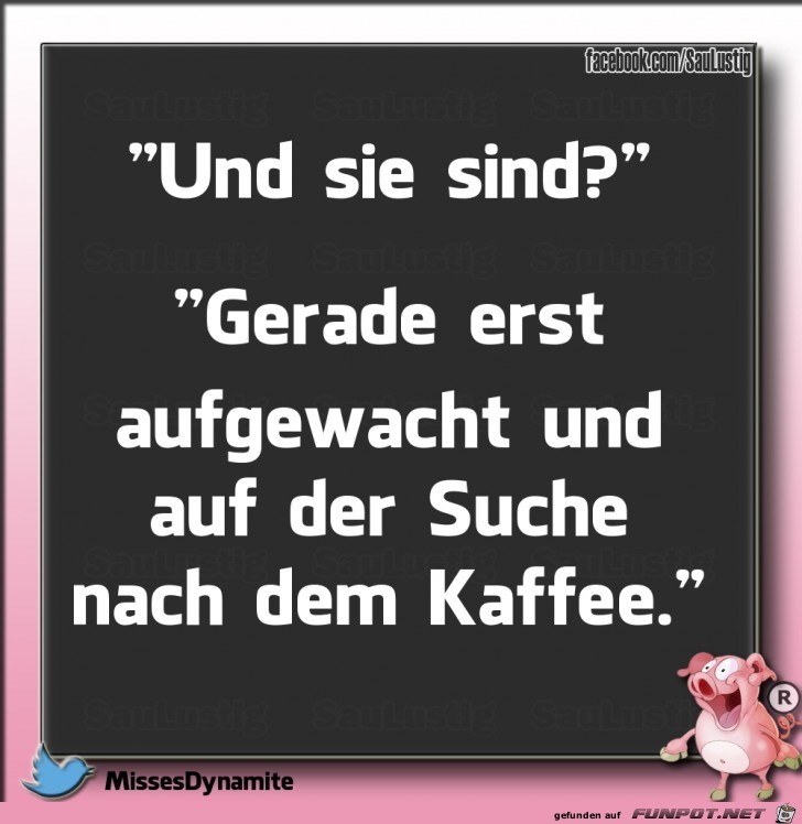 Und wer sind sie Und wer sind sie