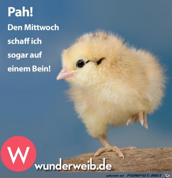 pah pah