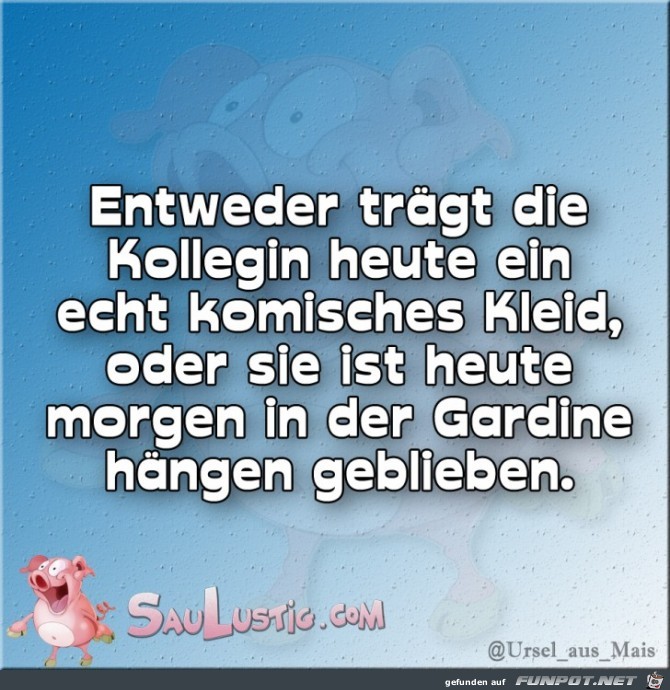 Entweder-traegt-die-Kollegin Entweder-traegt-die-Kollegin