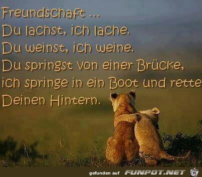 Freundschaft