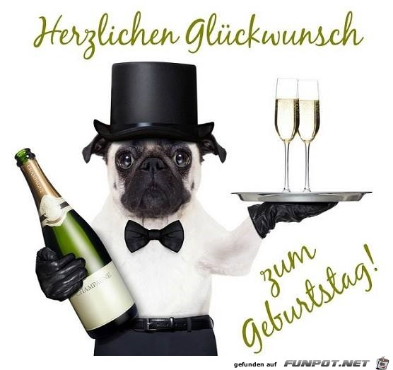 herzlichen Glueckwunsch herzlichen Glueckwunsch