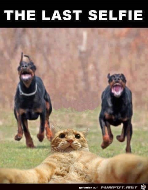 selfie selfie