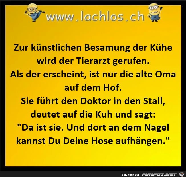 kuenstlichen Besamung kuenstlichen Besamung