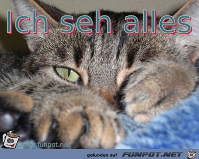Ich seh alles Ich seh alles