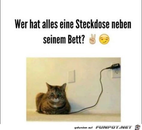 Steckdose Steckdose