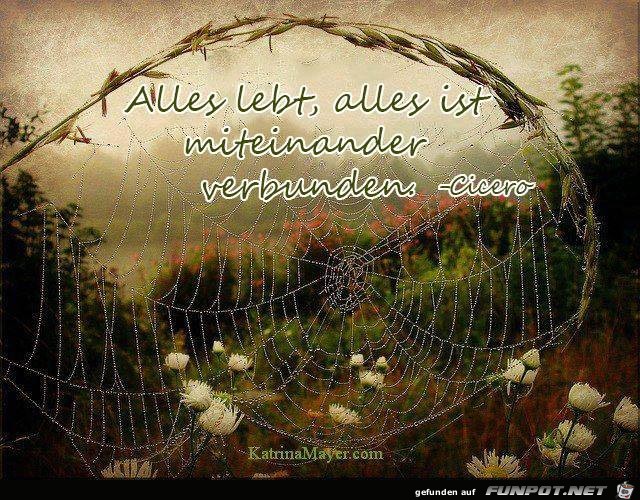 Alles lebt