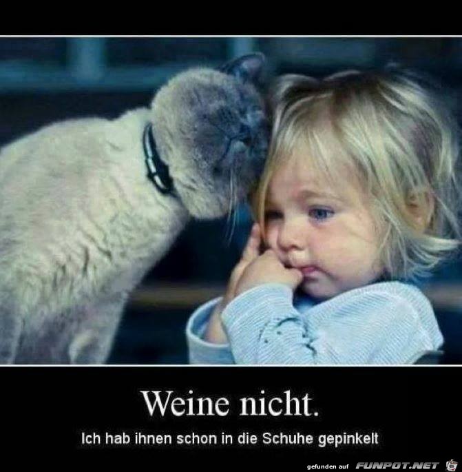 Weine nicht Weine nicht