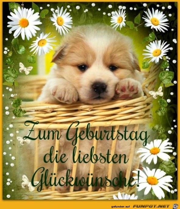 Glueckwuensche Glueckwuensche