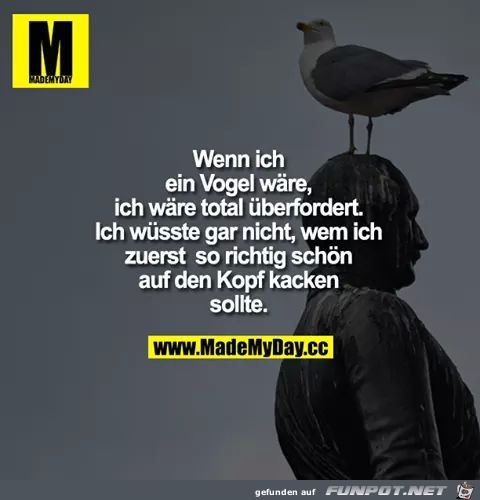 Vogel Vogel