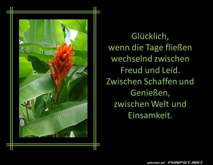 Gluecklich wenn die Tage fliessen Gluecklich wenn die Tage fliessen