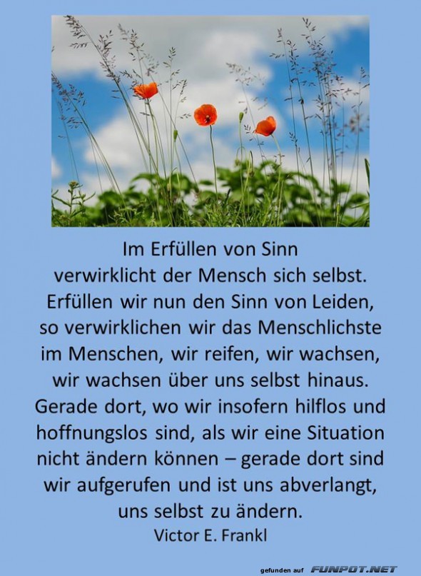 Sinn des Lebens Sinn des Lebens