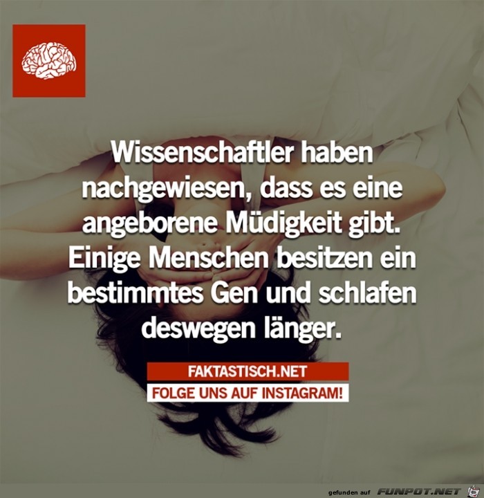 Wissenschaftler Wissenschaftler