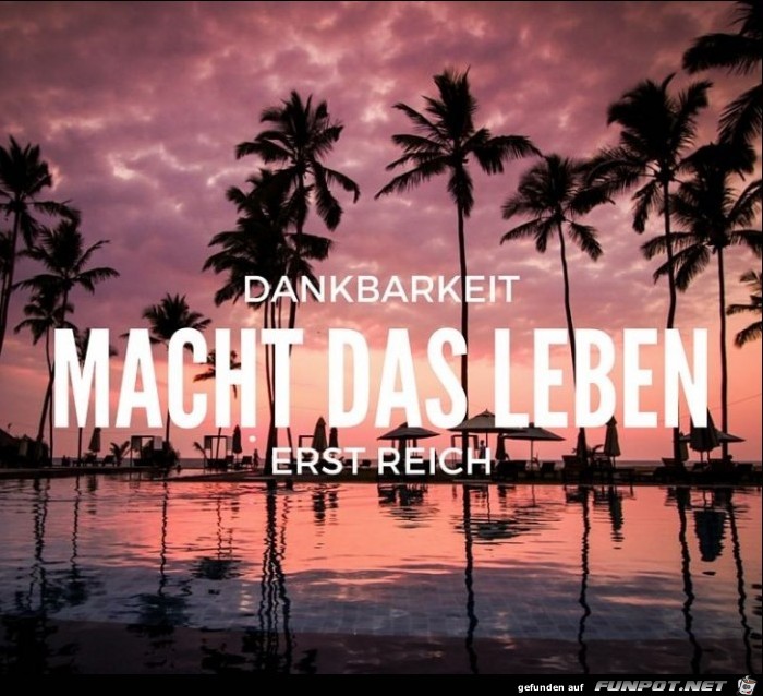 dankbarkeit-macht-