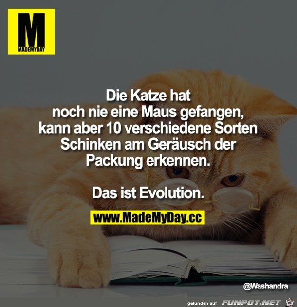 Evolution Evolution