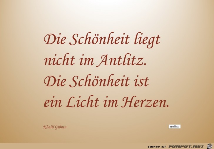 die Schoenheit liegt nicht die Schoenheit liegt nicht