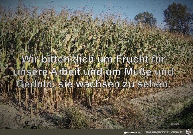 Wir bitten dich Wir bitten dich