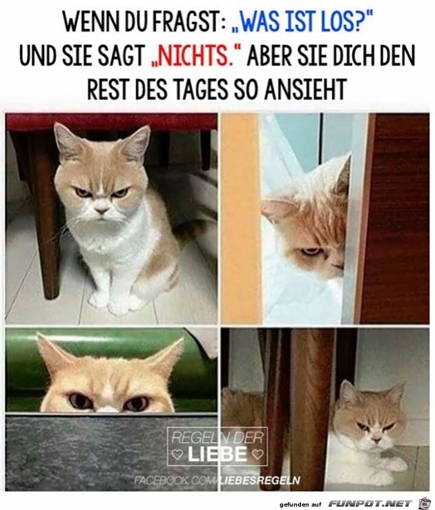 Wenn Du fragst...