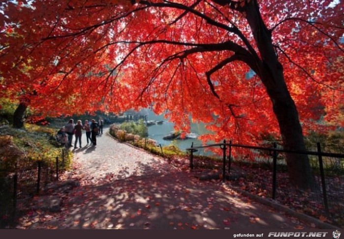 Tolle Orte, die du im Herbst besuchen kannst!