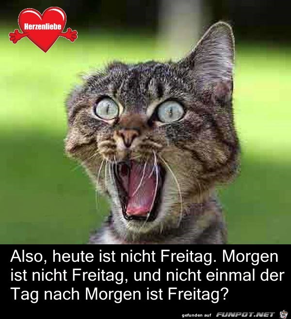 Heute ist nicht Freitag Heute ist nicht Freitag