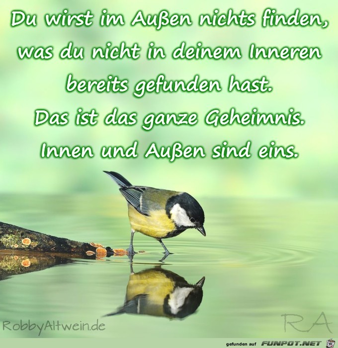 Du wirst im Außen nichts finden Du wirst im Außen nichts finden