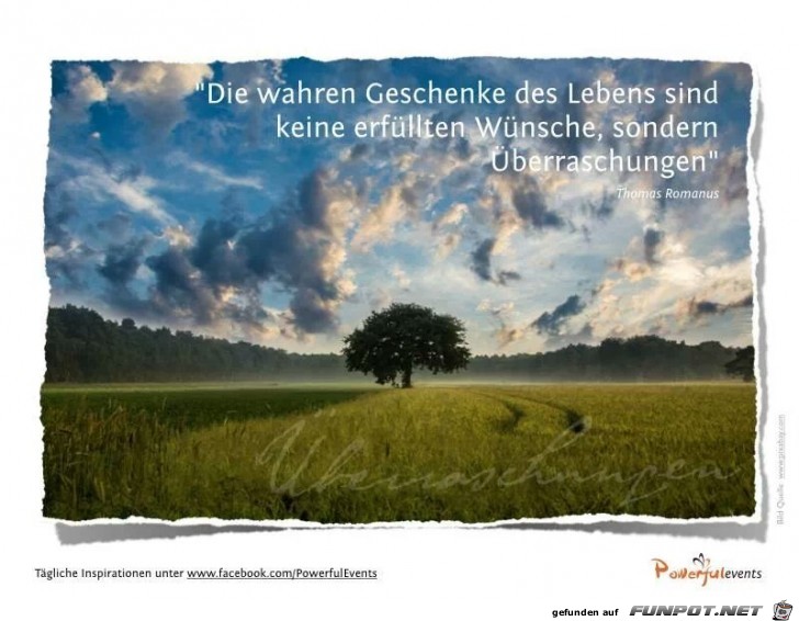 die wahren die wahren