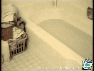 badekatze badekatze