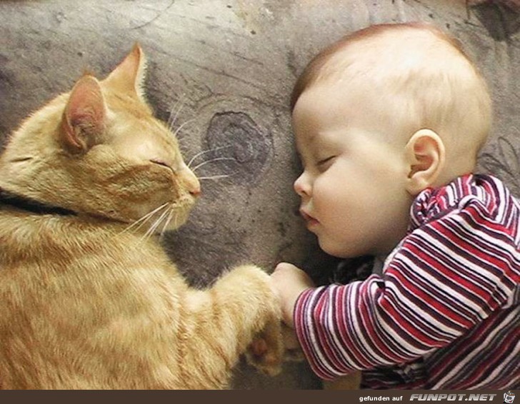 Deshalb brauchen Babys eine Katze 10 Deshalb brauchen Babys eine Katze 10