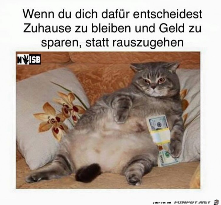 Dafuer-Entscheidest Dafuer-Entscheidest