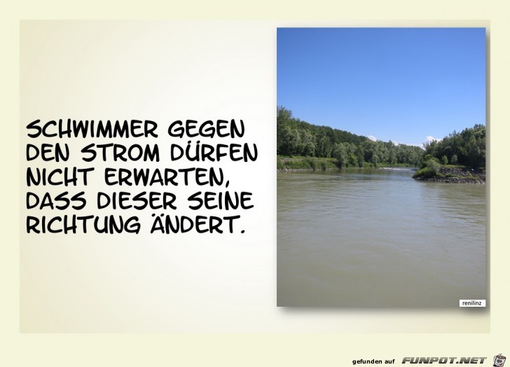 Schwimmer gegen den Strom Schwimmer gegen den Strom