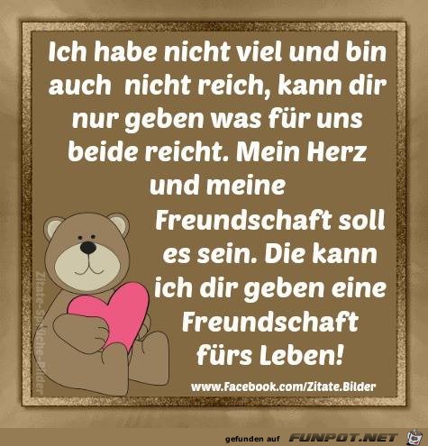 Ich hab nicht viel Ich hab nicht viel